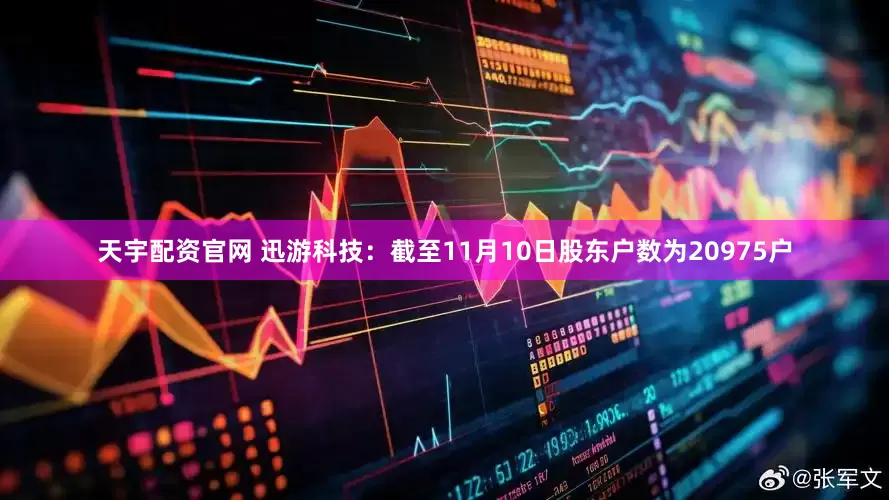 天宇配资官网 迅游科技：截至11月10日股东户数为20975户